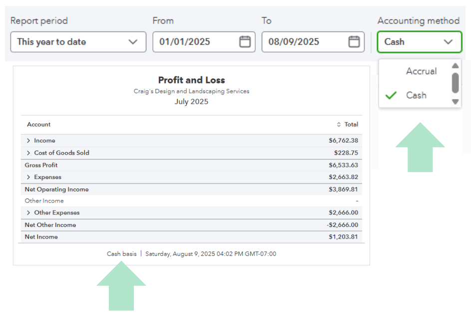 cash vs accrual reports