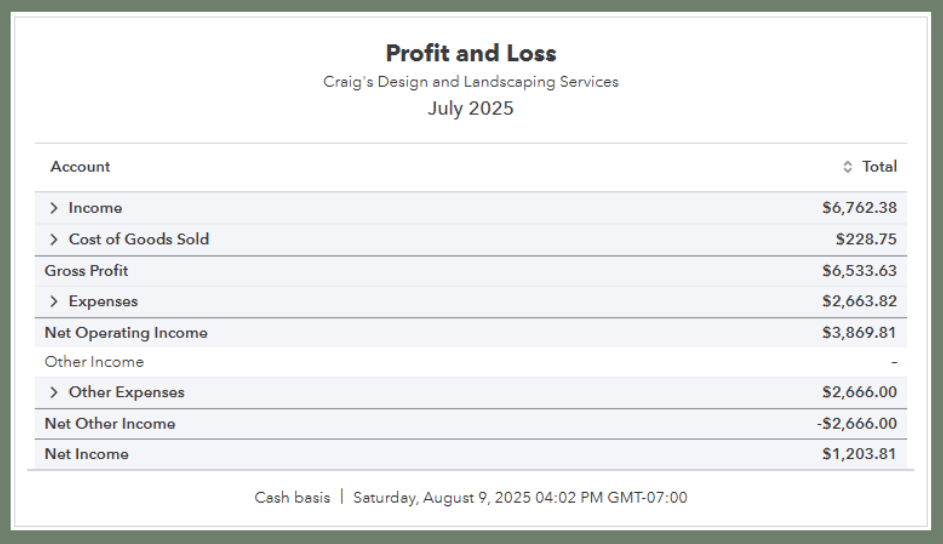 profit and loss statement